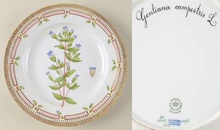 Flora Danica (1961 To Current) Dinner Plate-Gentiana campestris L