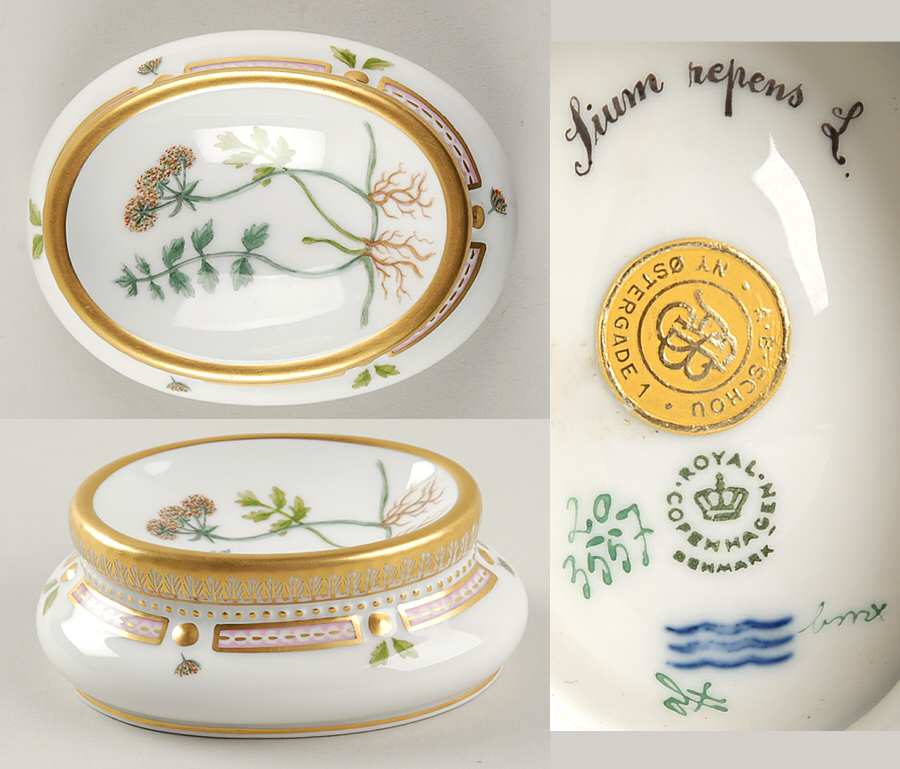 Flora Danica (1961 To Current) Salt Cellar-Sium repens L