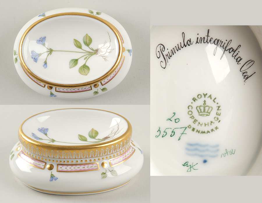 Flora Danica (1961 To Current) Salt Cellar-Primula integrifolia Oed