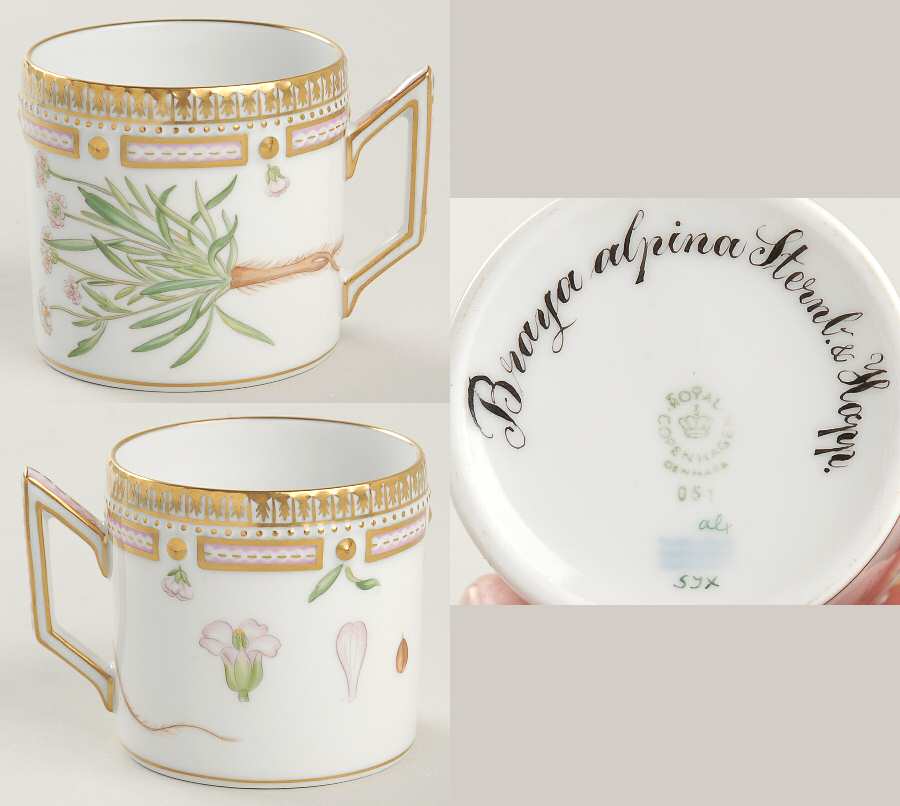 Flora Danica (1961 To Current) Chocolate Cup-Braya alpina Sternb & Hopp