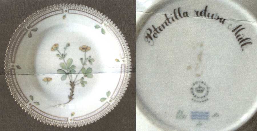 Flora Danica (1961 To Current) Dessert/Pie Plate-Potentilla retusa Miill