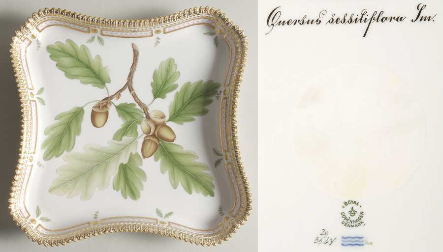 Flora Danica (1961 To Current) 9" Square Tray-Quercus sessilifloris Sm