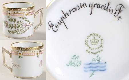 Flora Danica (1961 To Current) Chocolate Cup-Euphrasia gracilis Fr