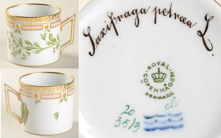 Flora Danica (1961 To Current) Chocolate Cup-Saxipraga petroeal L.