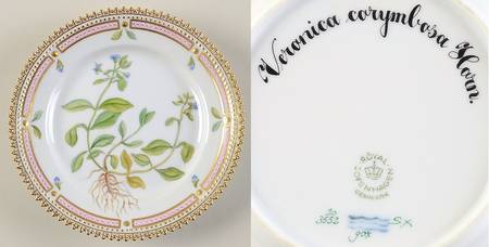 Flora Danica (1961 To Current) Bread & Butter Plate-Veronica corymbosa Horn
