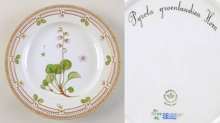 Flora Danica (1961 To Current) Dinner Plate-Pyrola groenlandiea Horn.