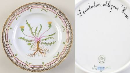 Flora Danica (1961 To Current) Dinner Plate-Leontodon obliquus Horn