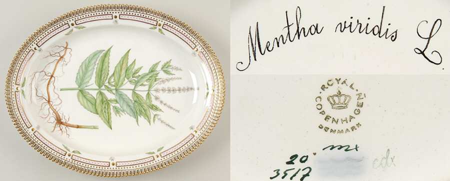 Flora Danica (1961 To Current) 14" Oval Serving Platter-Mentha viridis L.