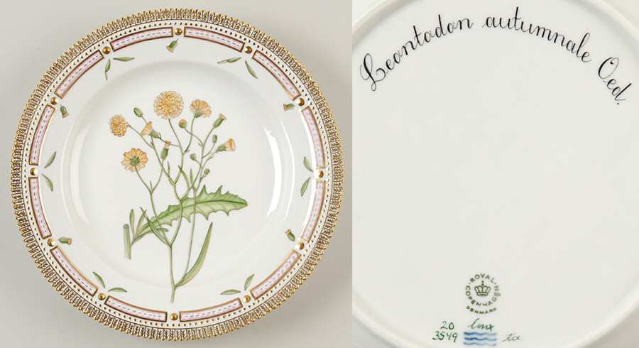 Flora Danica (1961 To Current) Dinner Plate-Leontodon autumnale Oed