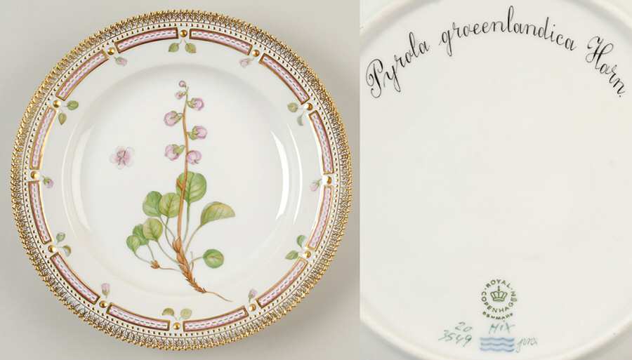 Flora Danica (1961 To Current) Dinner Plate-Pyrola groeenlandica Horn.