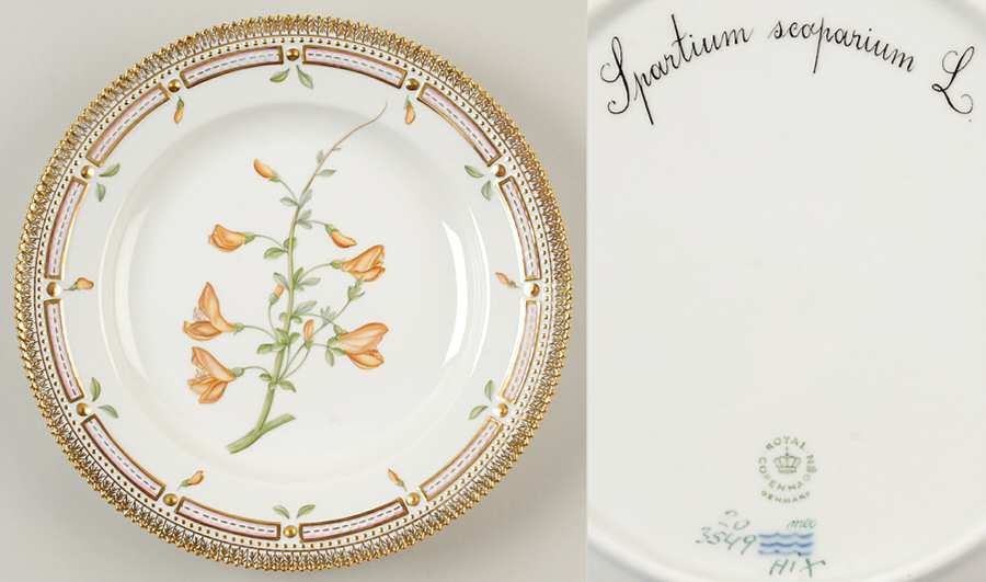 Flora Danica (1961 To Current) Dinner Plate-Spartium scoparium L