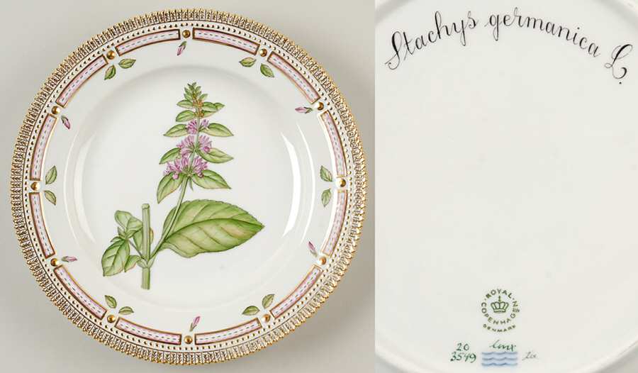 Flora Danica (1961 To Current) Dinner Plate-Stachys germanica L.