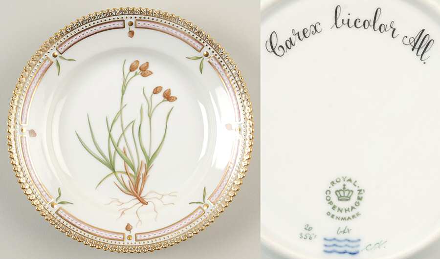 Flora Danica (1961 To Current) Dessert/Pie Plate-Carex bicolor All.