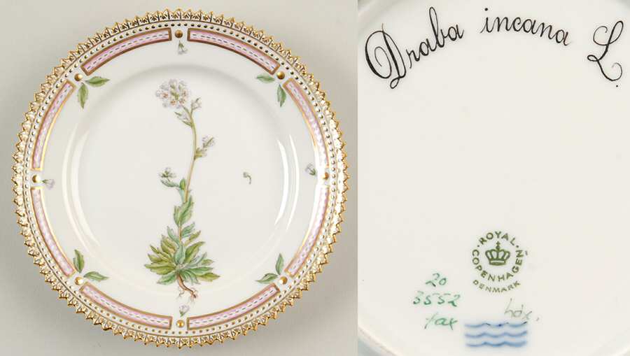Flora Danica (1961 To Current) Bread & Butter Plate-Draba incana L.