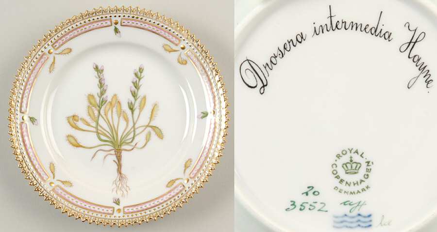Flora Danica (1961 To Current) Bread & Butter Plate-Drosera  intermedia Hayne