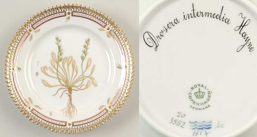 Flora Danica (1961 To Current) Bread & Butter Plate-Drosera  intermedia Hayne