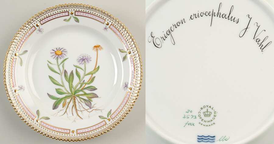 Flora Danica (1961 To Current) Salad Plate-Erigeron eriocephalus J Vahl
