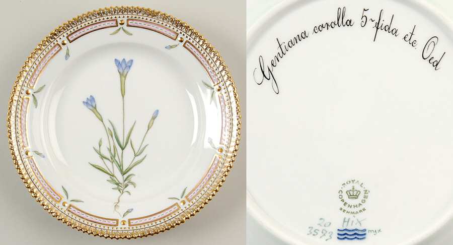 Flora Danica (1961 To Current) Salad Plate-Gentiana corolla 5 fida etc Oed.
