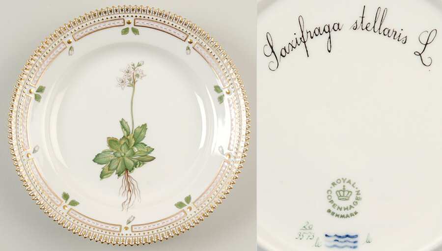 Flora Danica (1961 To Current) Salad Plate-Saxifraga stellaria L.