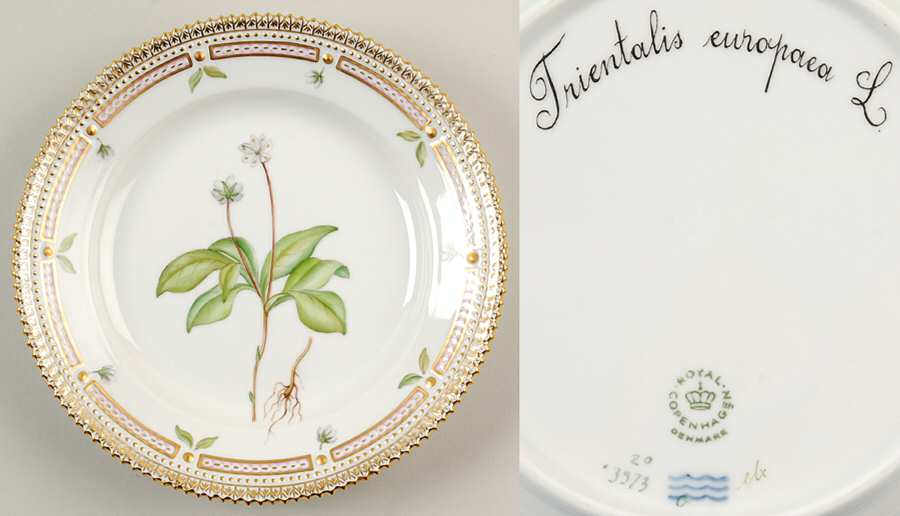 Flora Danica (1961 To Current) Salad Plate-Trientalis europaea L