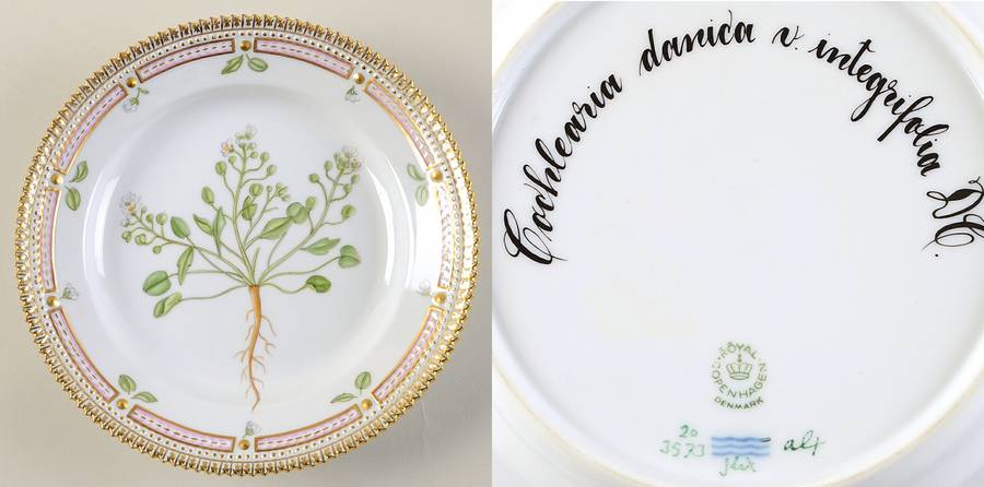 Flora Danica (1961 To Current) Salad Plate-Cochlearia danica v integrifolia DC