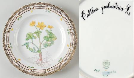 Flora Danica (1961 To Current) Dinner Plate-Caltha palustris L.