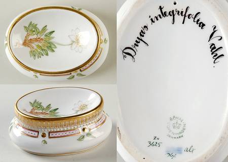 Flora Danica (1961 To Current) Salt Cellar-Dryas integrifolia Vahl