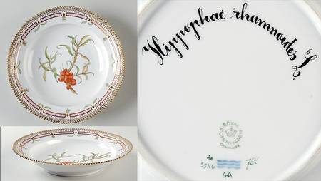 Flora Danica (1961 To Current) Rim Soup Bowl-Hippophae rhamnoides L