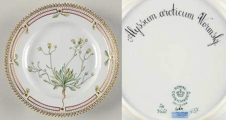Flora Danica (1961 To Current) Dessert/Pie Plate-Alyssum arcticum Wormskj
