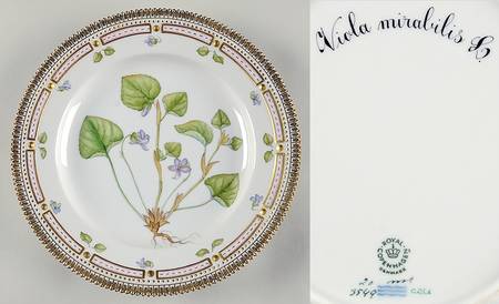 Flora Danica (1961 To Current) Dinner Plate-Viola mirabilis L
