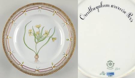 Flora Danica (1961 To Current) Dinner Plate-Ornithogalum arvense Pers.