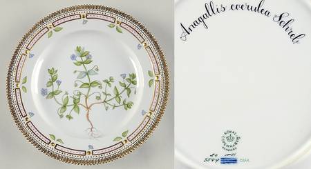 Flora Danica (1961 To Current) Dinner Plate-Anagallis coerulea Schrel.