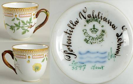 Flora Danica (1961 To Current) Flat Cup-Potentilla Vahliana Lehm