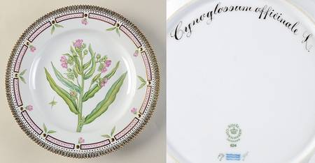 Flora Danica (1961 To Current) Dinner Plate-Cynoglossum officinale L