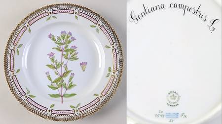 Flora Danica (1961 To Current) Dinner Plate-Gentiana campestris L
