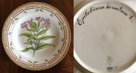 Flora Danica (1961 To Current) Dinner Plate-Epilobium hirsutum L