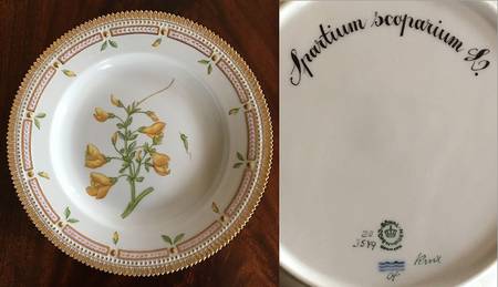 Flora Danica (1961 To Current) Dinner Plate-Spartium scoparium L