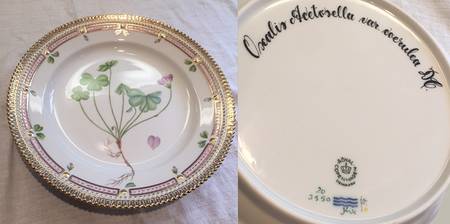 Flora Danica (1961 To Current) Luncheon Plate-Oxalis acetosella var coerulea DC