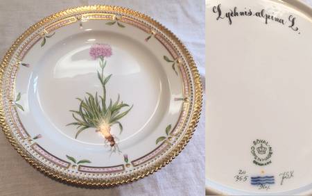 Flora Danica (1961 To Current) Luncheon Plate-Lychnis alpina L