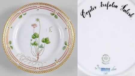 Flora Danica (1961 To Current) Salad Plate-Coptis trifolia Lalisb