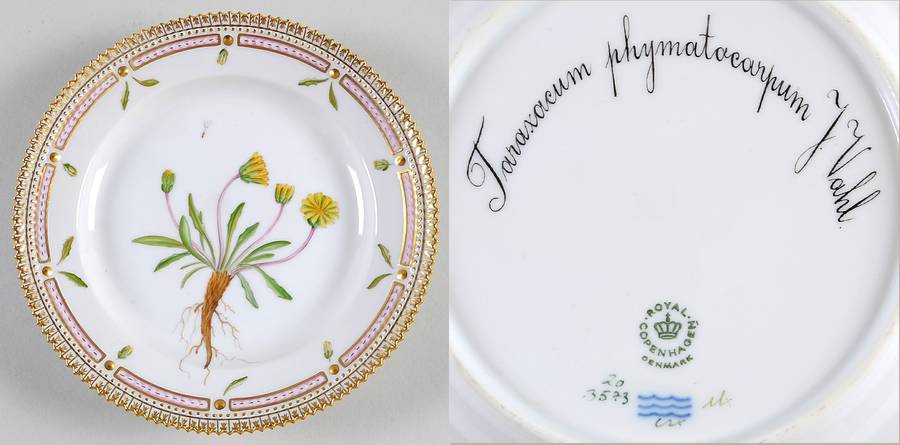 Flora Danica (1961 To Current) Salad Plate-Taraxacum phymatocarpum J Vahl