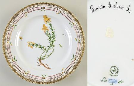 Flora Danica (1961 To Current) Dinner Plate-Genista tinetoria L.