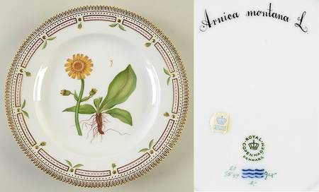 Flora Danica (1961 To Current) Dinner Plate-Arnica montana L.