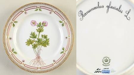 Flora Danica (1961 To Current) Luncheon Plate-Ranunculus glacialis L.
