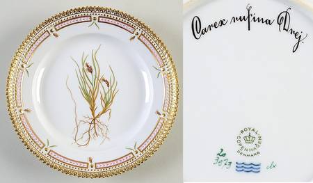 Flora Danica (1961 To Current) Salad Plate-Carex rufina Drej