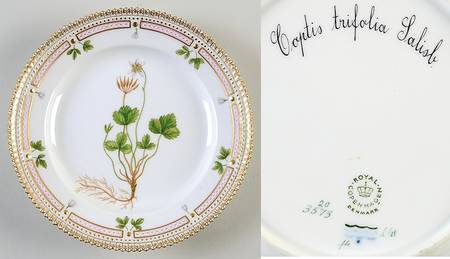 Flora Danica (1961 To Current) Salad Plate-Coptis trifolia Lalisb