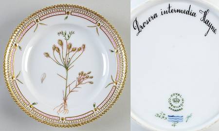 Flora Danica (1961 To Current) Salad Plate-Drosera intermedia Hayne
