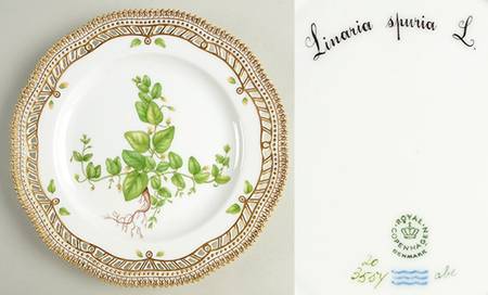 Flora Danica (1961 To Current) 9" Pierced Luncheon Plate/Fruit Std-Linaria spuria