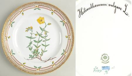Flora Danica (1961 To Current) Dinner Plate-Helianthemum vulgare L.