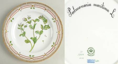 Flora Danica (1961 To Current) Dinner Plate-Pulmonaria maritima L.